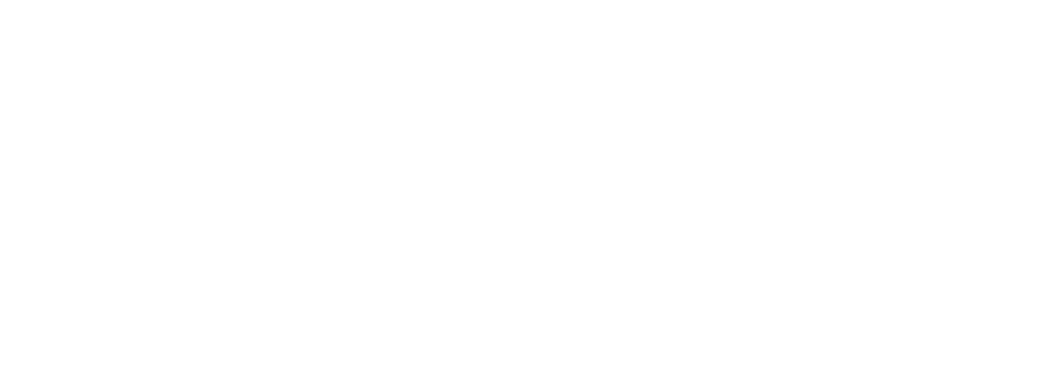 A white ProChem Logo.