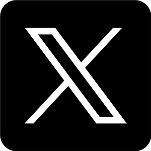 x-1